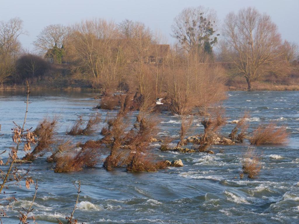 Logis Hotel Le Relais Louis XI Meung-sur-Loire Kültér fotó