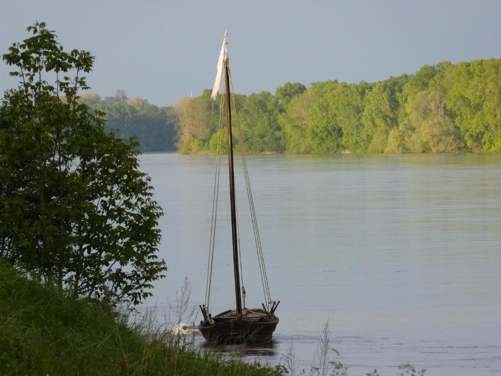 Logis Hotel Le Relais Louis XI Meung-sur-Loire Kültér fotó