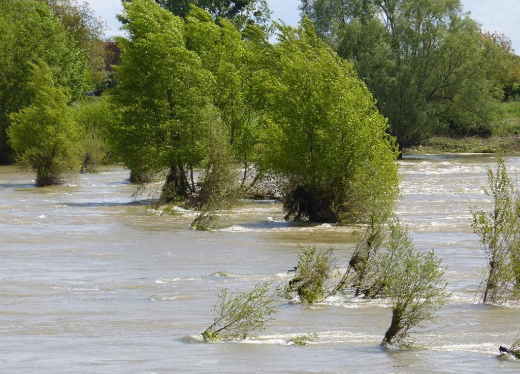 Logis Hotel Le Relais Louis XI Meung-sur-Loire Kültér fotó