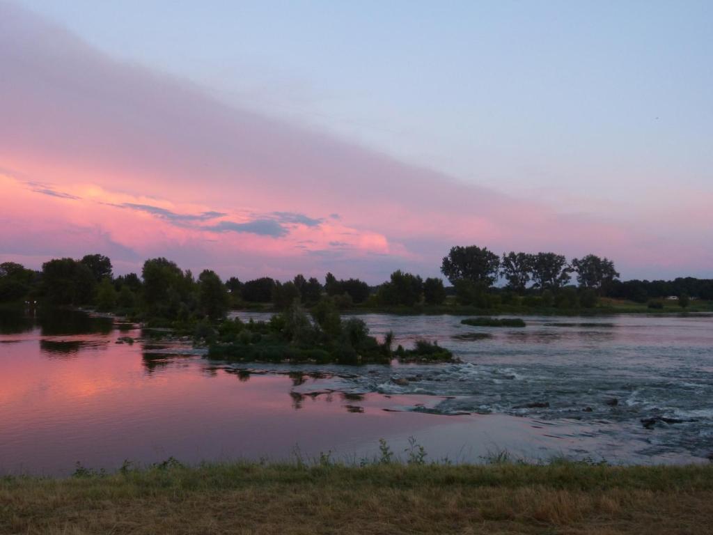 Logis Hotel Le Relais Louis XI Meung-sur-Loire Kültér fotó